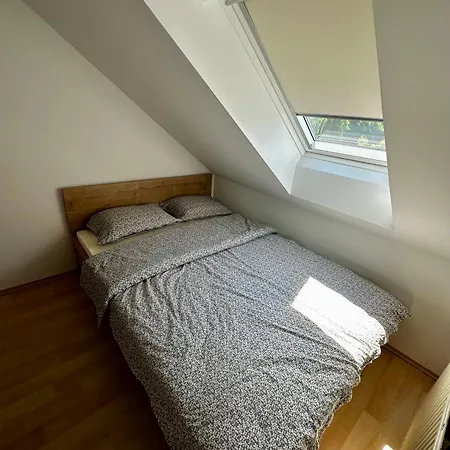 Apartman And Spes Mislinja