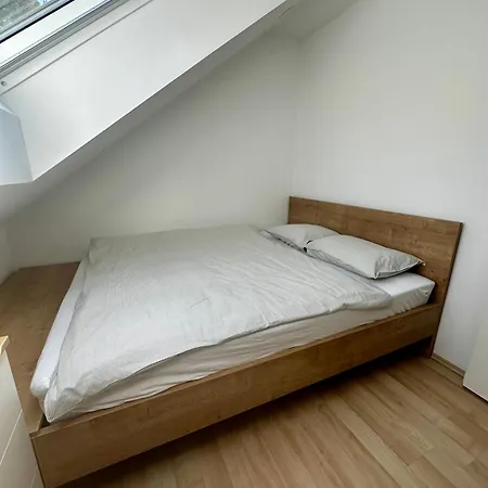 And Spes Apartmán Mislinja