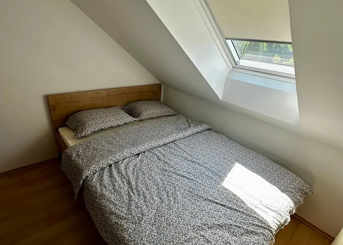 Apartman And Spes Mislinja